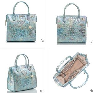 Brahmin Caroline Satchel (Wonderland)